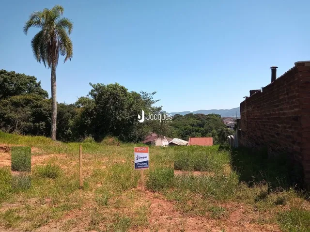 Vista externa de um terreno com muro de tijolos e vegetação no Brasil.