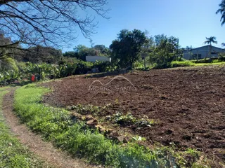 Vista de um campo de terra com vegetação rasteira em uma área rural sob céu azul.