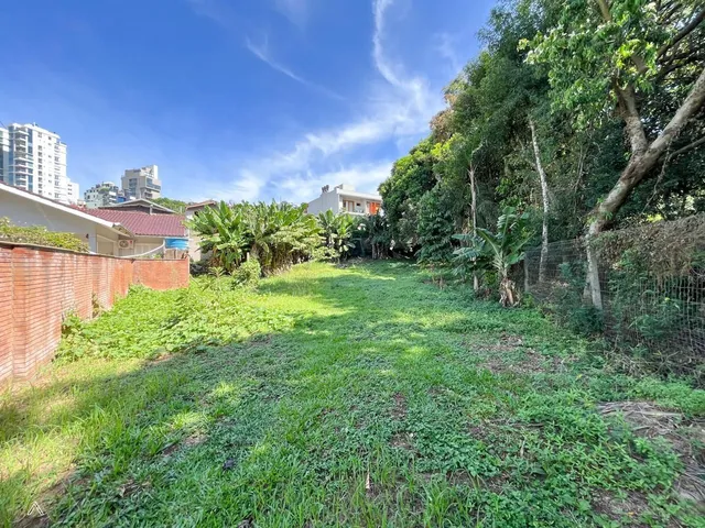 Terreno, foto 3