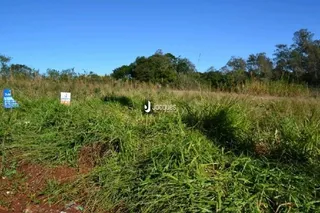 Paisagem de campo com vegetação alta e árvores.