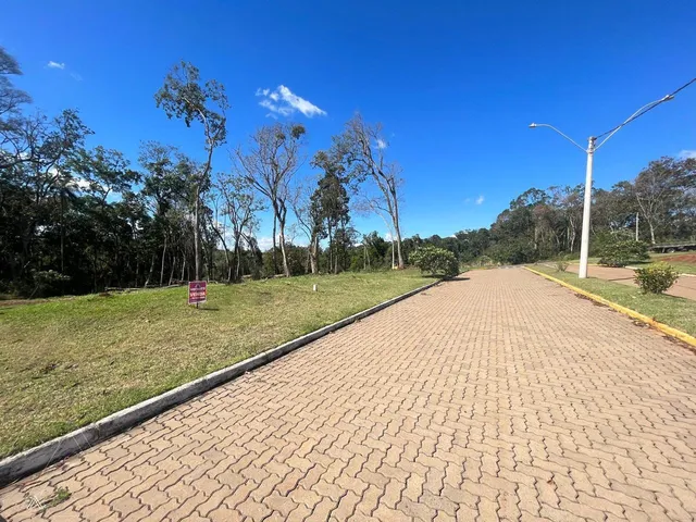 Terreno, foto 3
