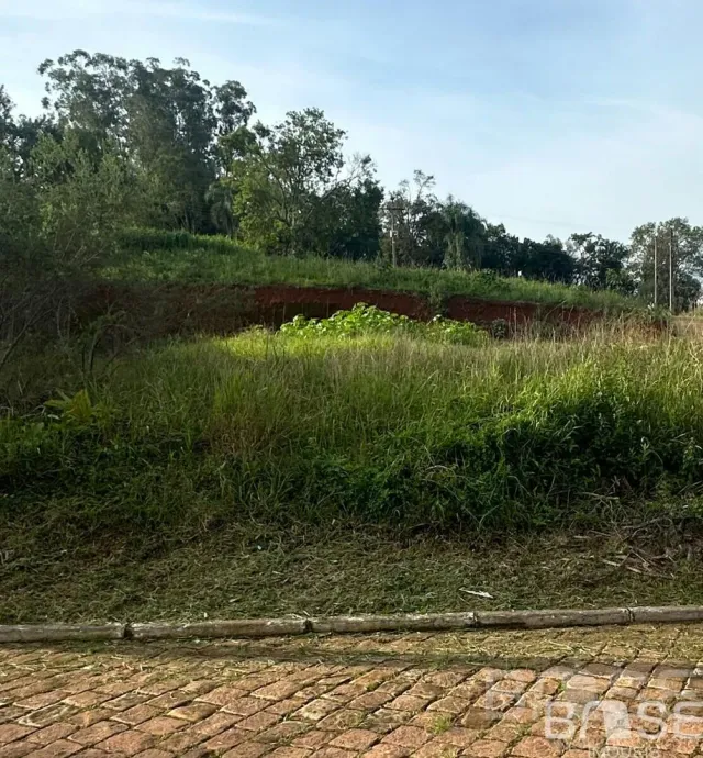 Terreno, foto 4