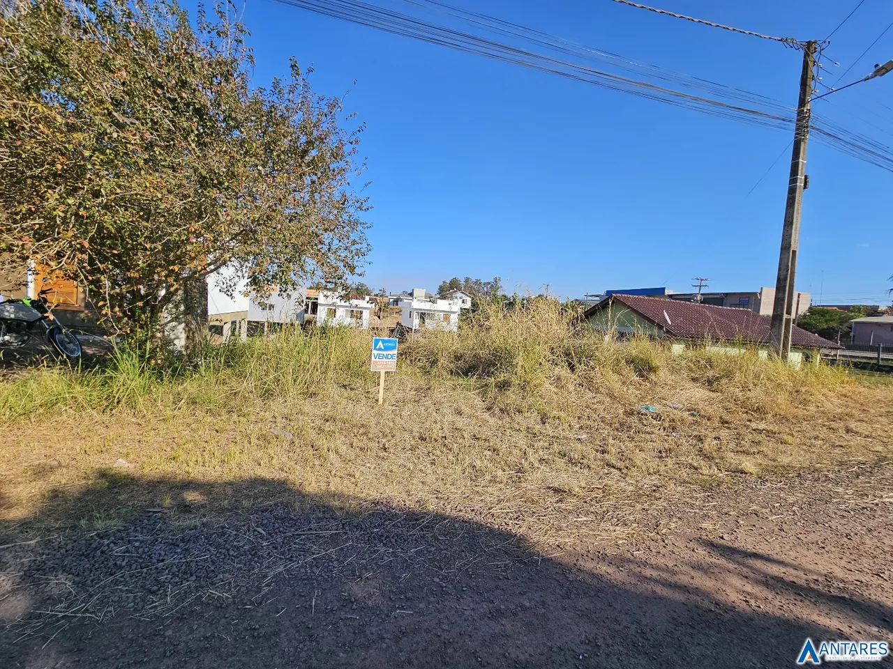 Terreno, foto 1
