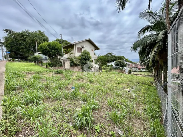 Vista externa de uma propriedade com gramado alto e cerca de arame.