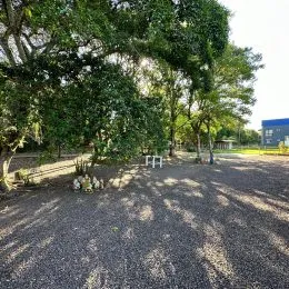Foto de uma área externa com árvores e cascalho.