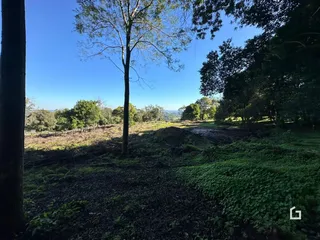 Vista de uma área verde com árvores e campo em Lajeado.