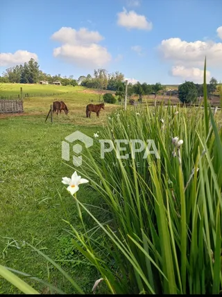 Área rural, foto 10