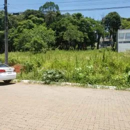 Terreno, foto 5