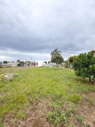 Terreno, foto 7