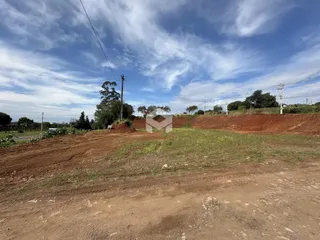 Vista da terra com solo exposto e vegetação ao fundo.