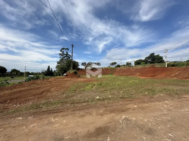 Vista da terra com solo exposto e vegetação ao fundo.