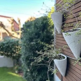 Vista de uma parede externa com revestimento de madeira e vegetação na propriedade.
