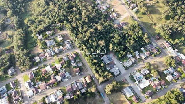 Vista aérea de uma área residencial com vegetação densa em Lajeado.