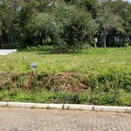 Vista externa de um terreno com vegetação rasteira e árvores no fundo.