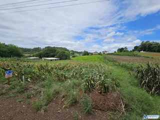 Terreno, foto 4
