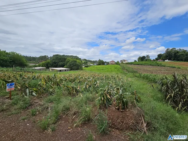 Terreno, foto 4
