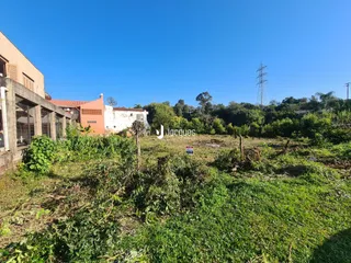 Vista externa de uma propriedade com vegetação densa e árvores ao fundo.