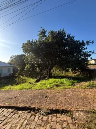 Terreno, foto 2