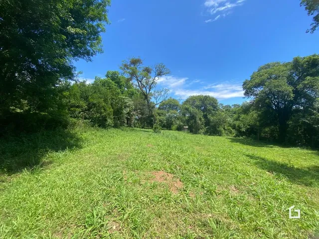 Vista de um terreno com vegetação verde sob um céu azul.