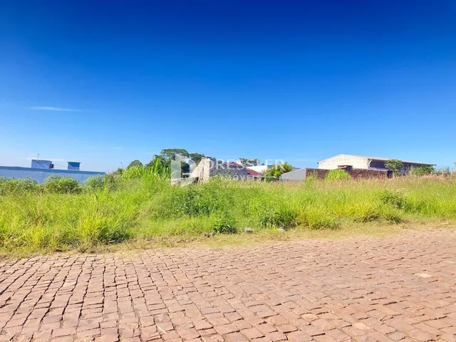 Vista externa da propriedade com vegetação alta e um caminho de tijolos no primeiro plano.
