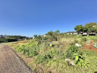 Paisagem de terra e vegetação ao lado de uma estrada rural.