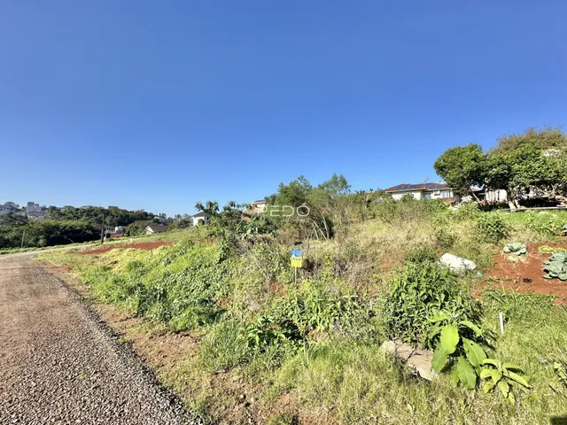 Paisagem de terra e vegetação ao lado de uma estrada rural.