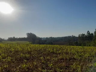 Área rural, foto 8