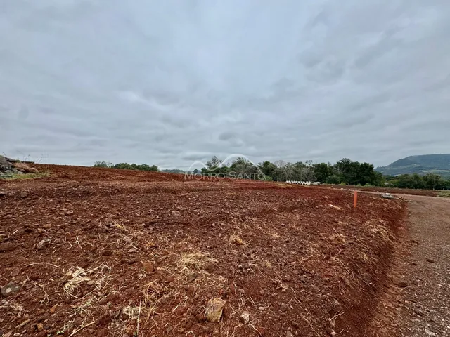 Vista de terra vermelha e seca com vegetação rasteira em um terreno aberto.