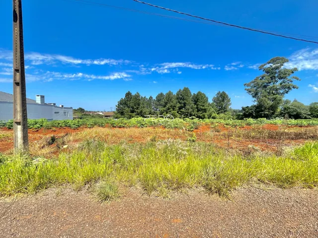 Paisagem de campo com vegetação verde e solo marrom no fundo.