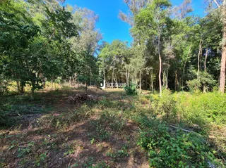 Área rural, foto 19