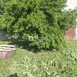 Terreno, foto 3