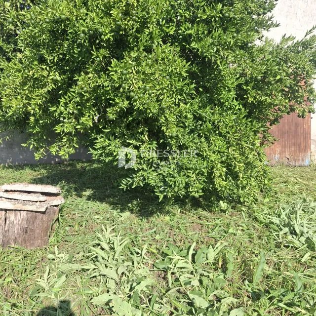 Terreno, foto 3