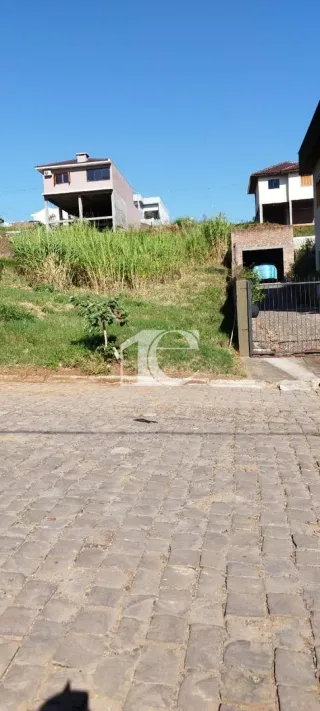 Terreno, foto 3