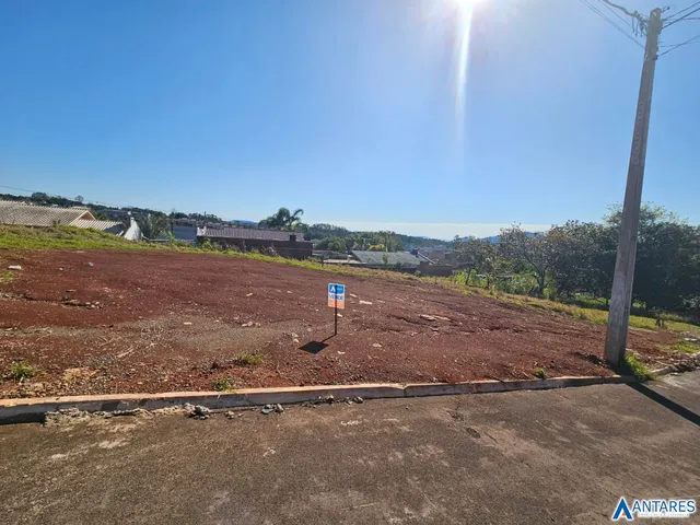 Terreno, foto 2