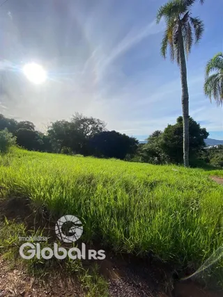 Campo verde com grama alta sob um céu azul.