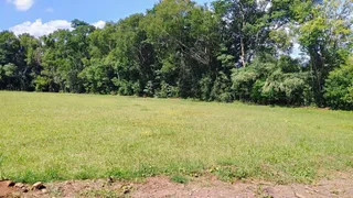 Terreno, foto 2