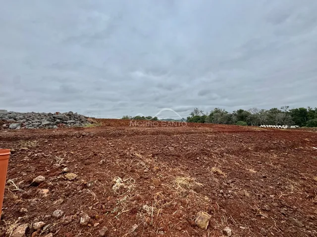 Vista de uma área de terra vermelha e seca com vegetação rasteira no fundo.