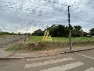 Terreno, foto 2