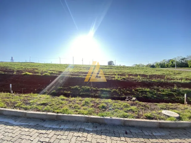Terreno, foto 4