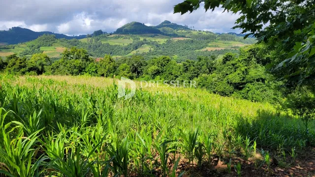 Área rural