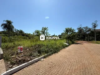 Vista externa de uma propriedade com vegetação densa e uma estrada de terra.