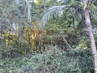 Área rural, foto 14