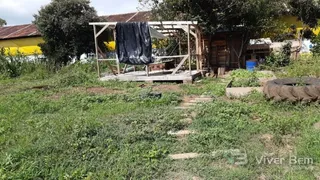 Área rural com 3 dormitórios, foto 10