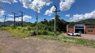 Terreno, foto 3