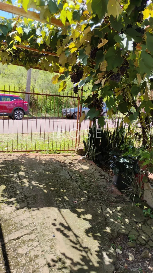 Casa com 2 dormitórios, foto 3