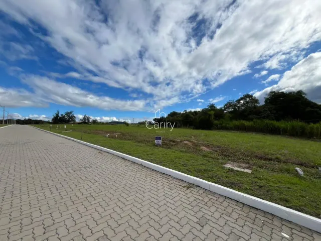Terreno, foto 2