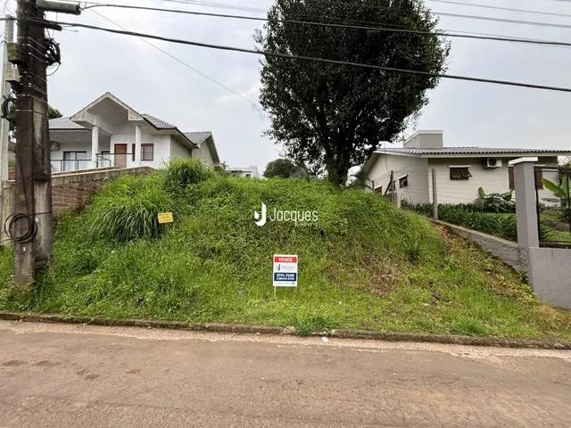 Foto de uma encosta gramada entre uma rua e residências em Lajeado.