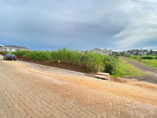 Terreno