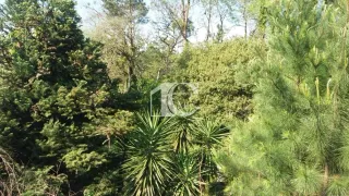 Terreno, foto 9