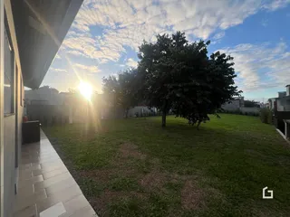 Vista de um jardim gramado com uma grande árvore em Lajeado.